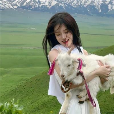 沼泽地里的秘密